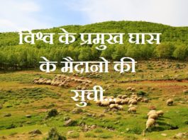 list-of-major-grasslands-of-world