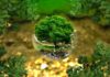 विश्व पृथ्वी दिवस के बारे में महत्वपूर्ण तथ्य || fact about world earth day fact-about-world-earth-day