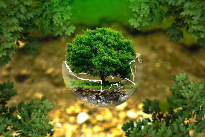 world earth day fact-about-world-earth-day