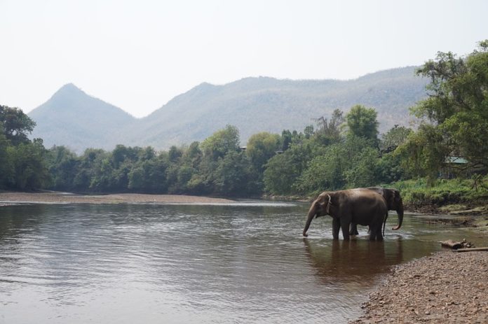 List of sanctuaries in madhya pradesh list-of-sanctuaries-in-madhya-pradesh